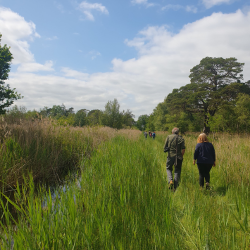 People Walking By Water in Chippenham Fen
