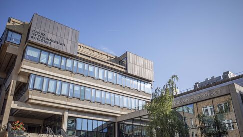 David Attenborough Building