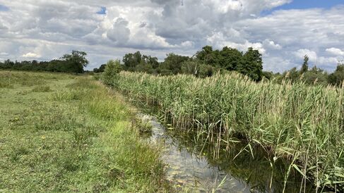 Fenland Ditch by Tom Marquand