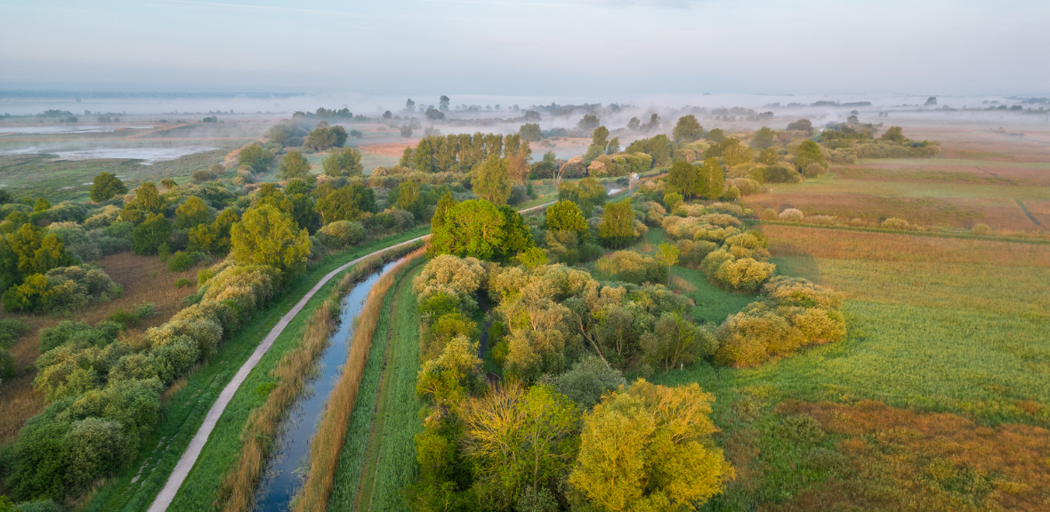 Credit Glynis Pierson Aerial Image of the Cambridgeshire Fens in bright Greens withe river winding through.Credit Glynis Pierson