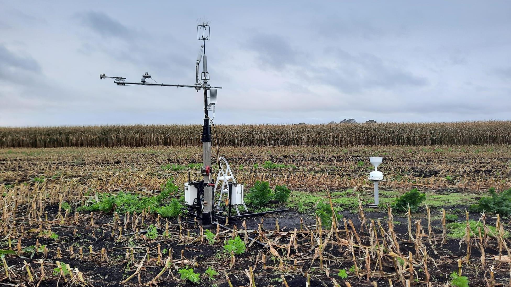 Photo of Researchers in a Fenland Field