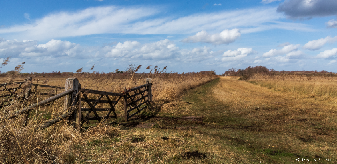 Photo of fenland with broken gate